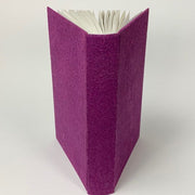 Tagebuch für 4 Jahre