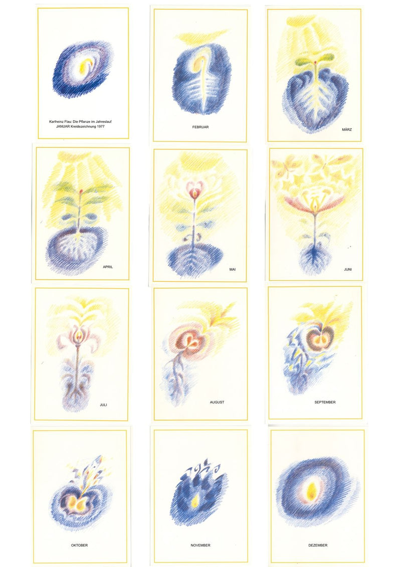 Poster Die Pflanze im Jahreslauf