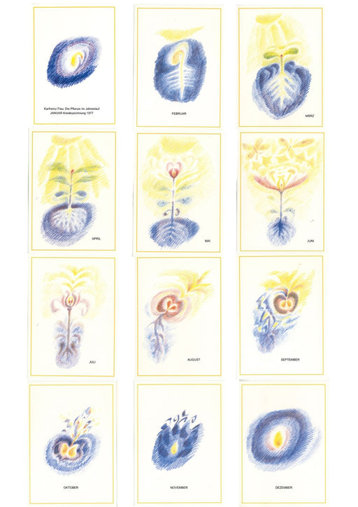 Poster Die Pflanze im Jahreslauf