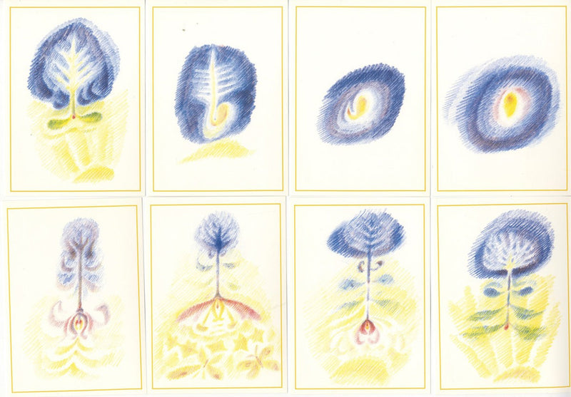 Die Pflanze im Jahreslauf