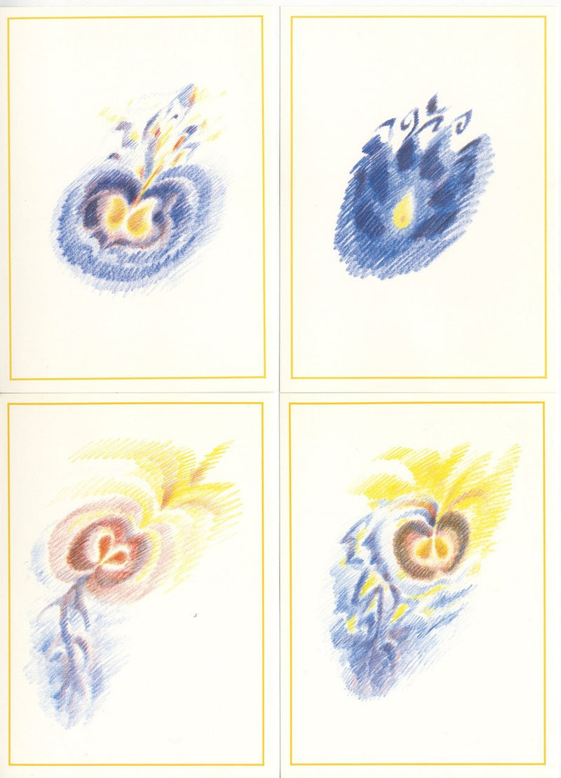 Die Pflanze im Jahreslauf