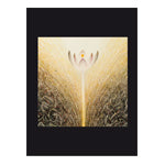 Blüten: Früchte des Lichts - Karte Nr. 113