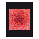 Blüten: Früchte des Lichts - Karte Nr. 115