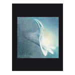 Blüten: Früchte des Lichts - Karte Nr. 116