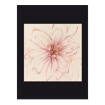 Blüten: Früchte des Lichts - Karte Nr. 118