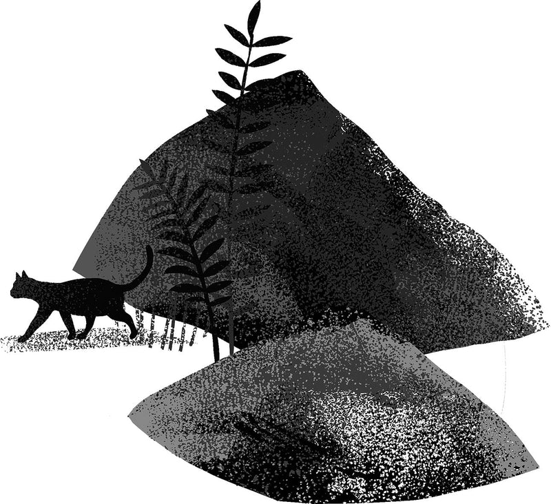 Die Einsteins und der geheimnisvolle Turm