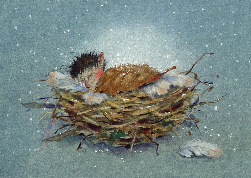 Postkartenbuch »Klaus Sausebraus«