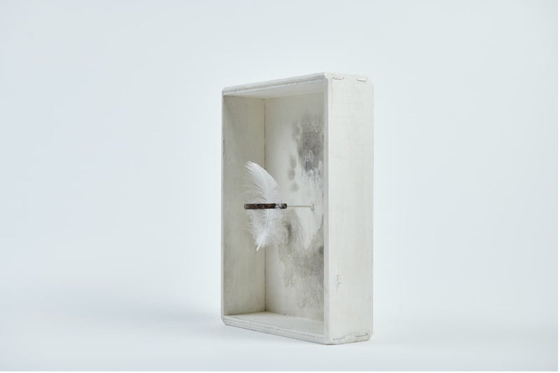 Beuys' Intuitionskiste - Revival am Bodensee: