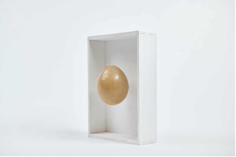 Beuys' Intuitionskiste - Revival am Bodensee: