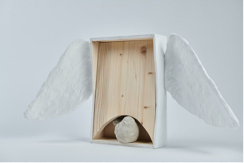 Beuys' Intuitionskiste - Revival am Bodensee: