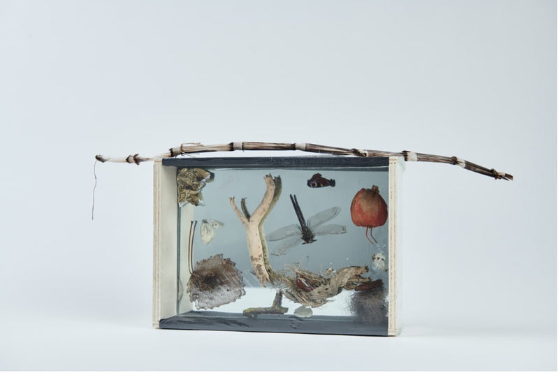 Beuys' Intuitionskiste - Revival am Bodensee: