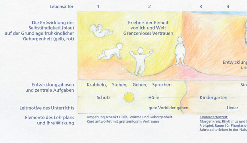 Richtkräfte der Entwicklung
