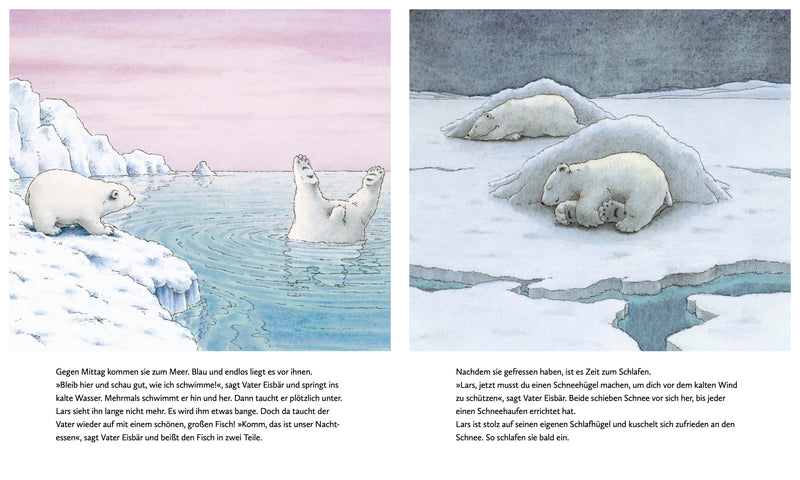 Kleiner Eisbär – Wohin fährst du, Lars?