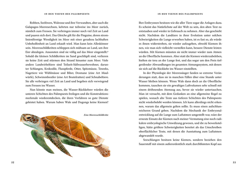 Das große Buch der Evolution