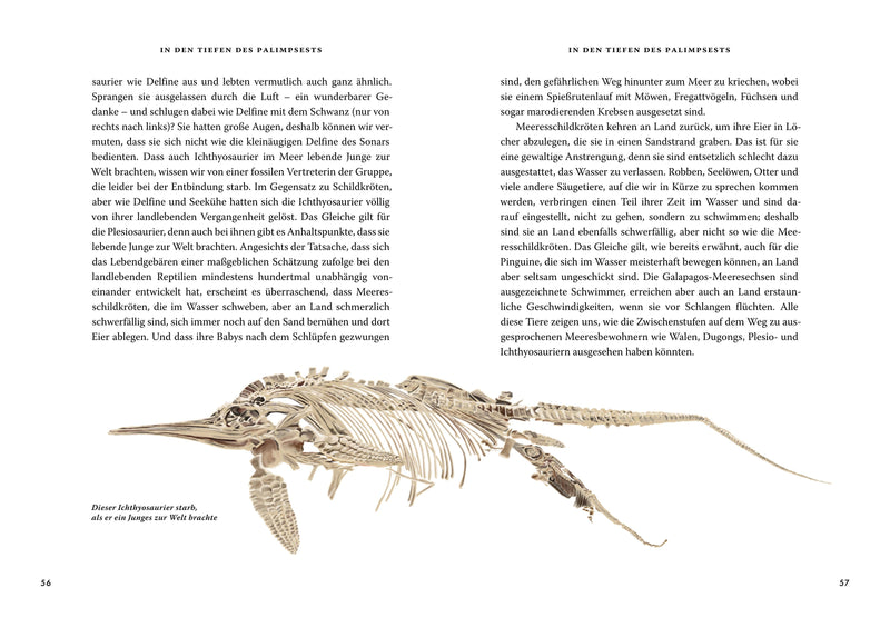Das große Buch der Evolution