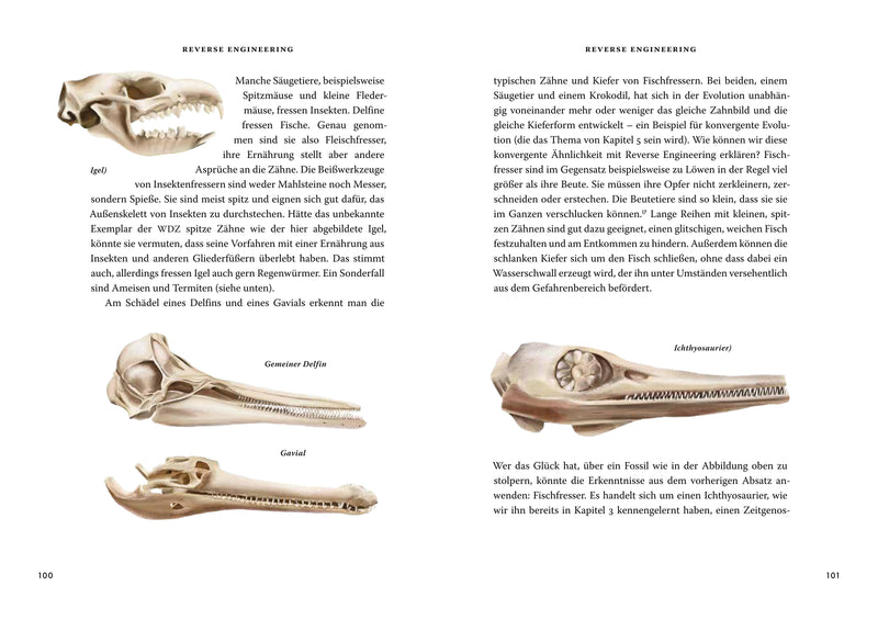 Das große Buch der Evolution
