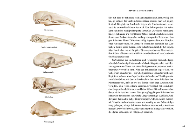 Das große Buch der Evolution