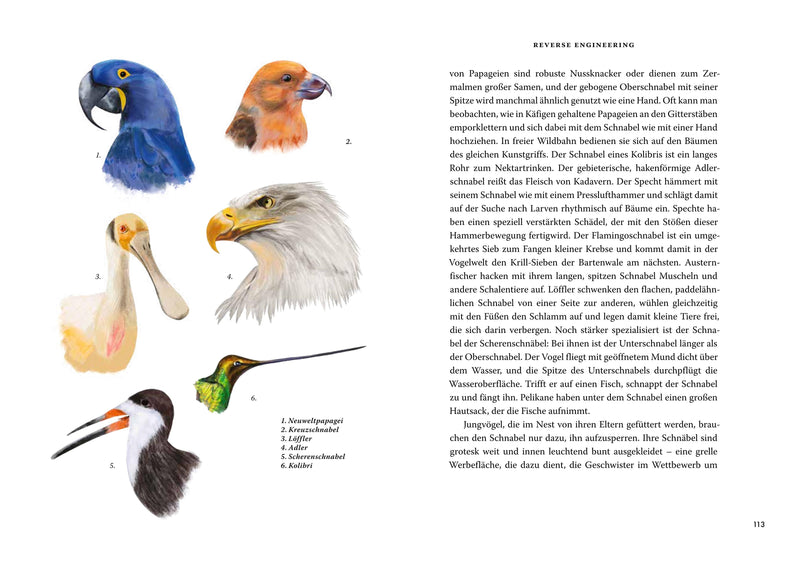 Das große Buch der Evolution