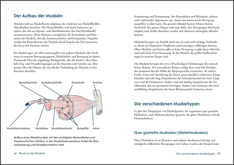 Kraft und Stabilität bis ins hohe Alter