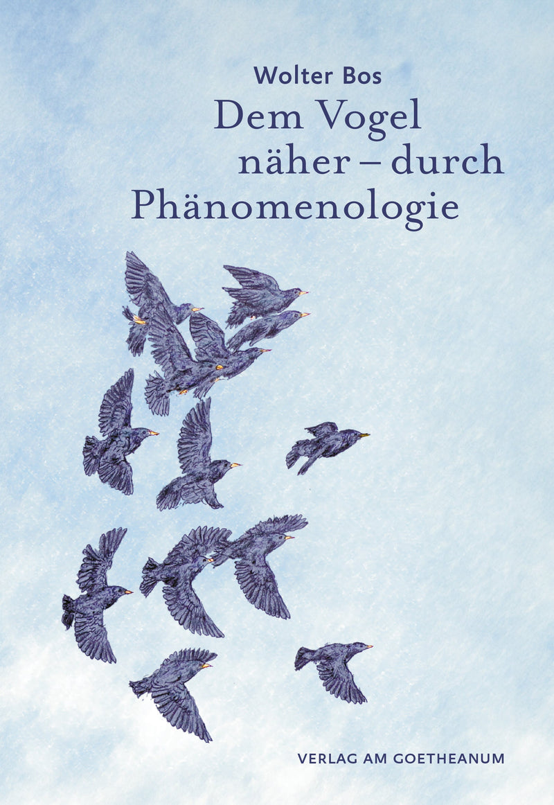 Dem Vogel näher – durch Phänomenologie