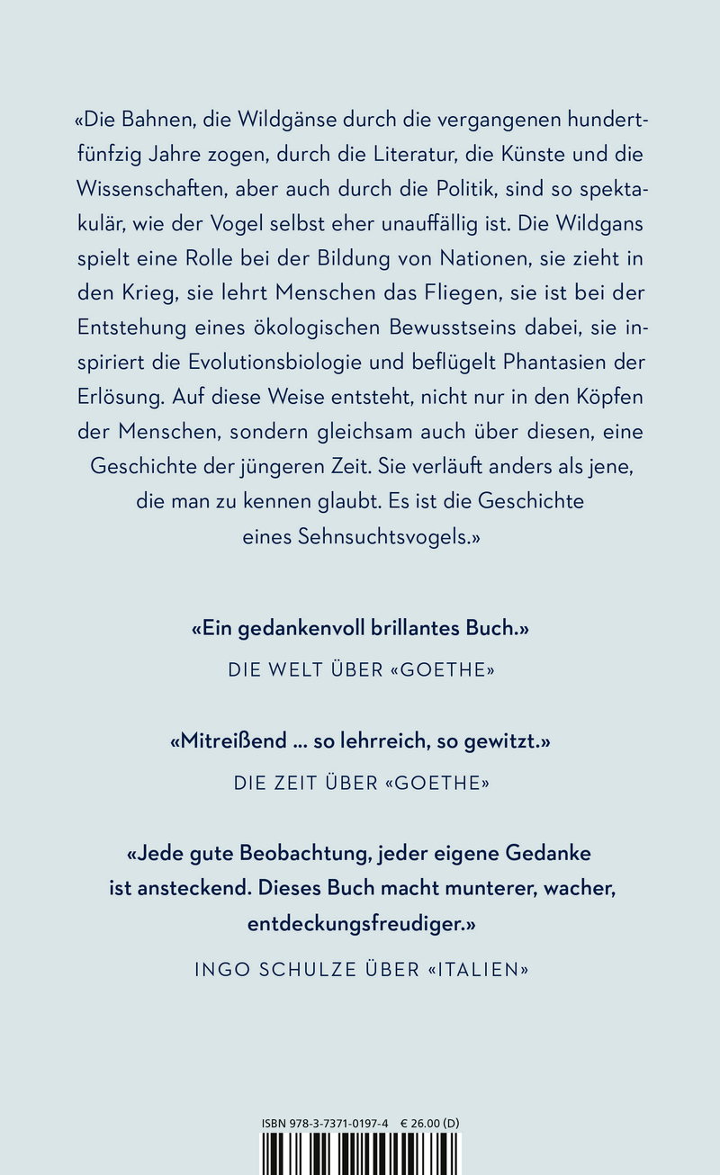 Rauschen in der Nacht