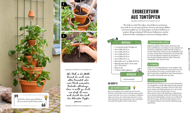 Garten, Hochbeet, Ernte-Wunder – Drei Bücher im Bundle