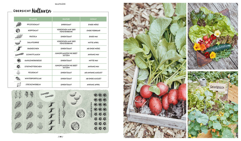 Garten, Hochbeet, Ernte-Wunder – Drei Bücher im Bundle
