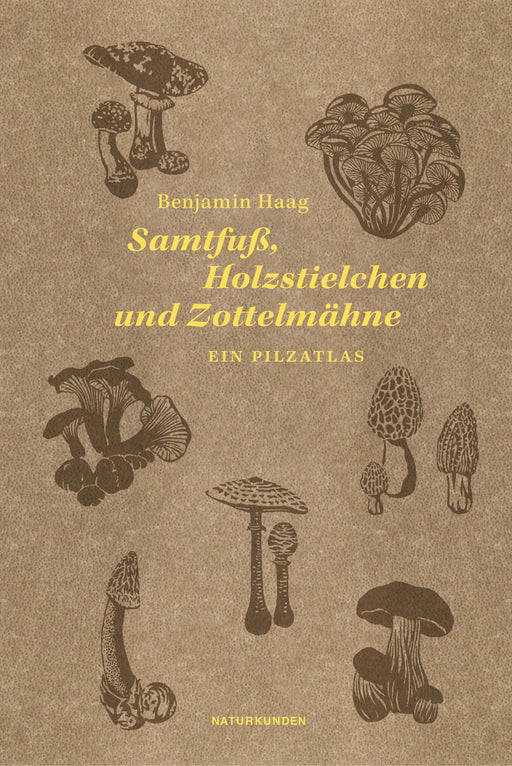 Samtfuß, Holzstielchen und Zottelmähne