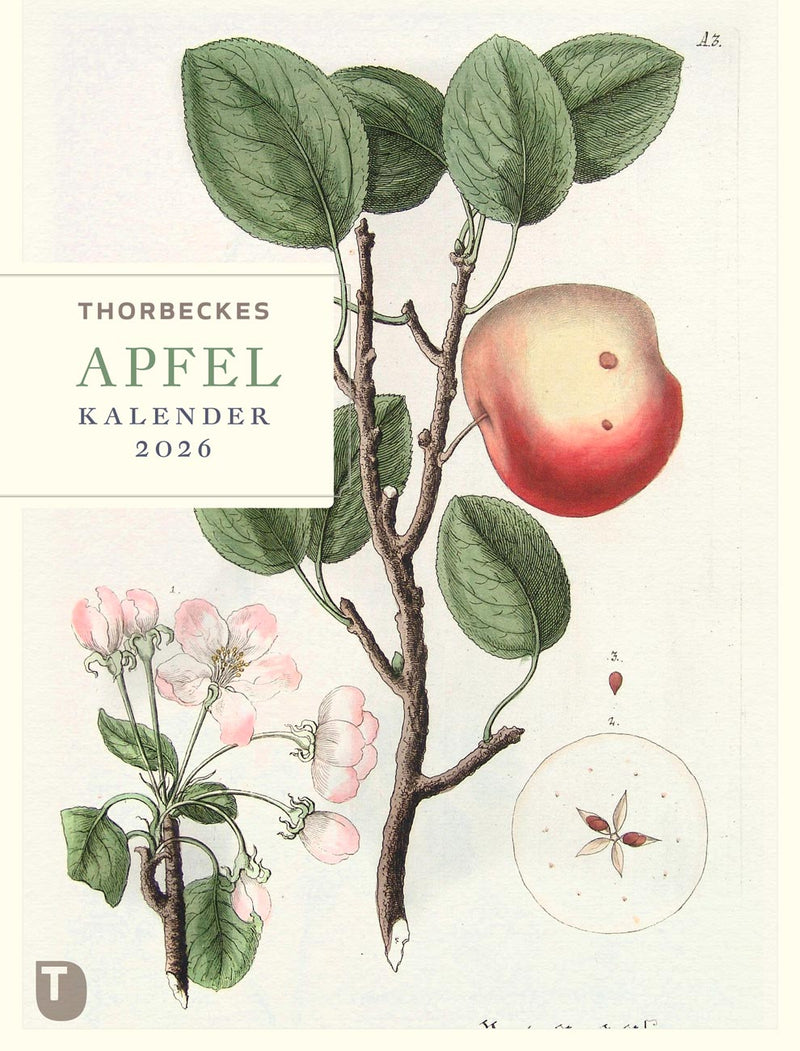 Thorbeckes Apfel-Kalender 2026