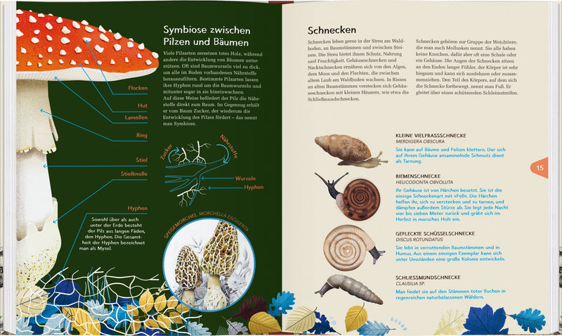 Das zweite Leben der Bäume