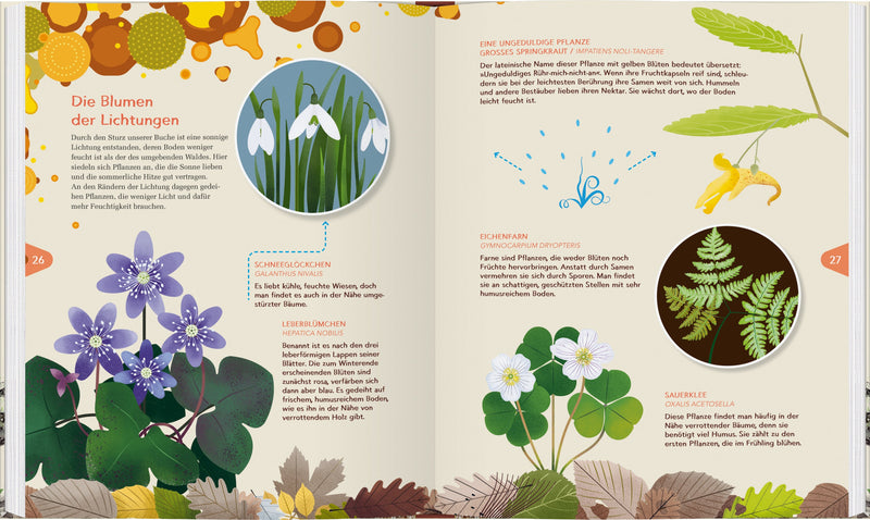 Das zweite Leben der Bäume