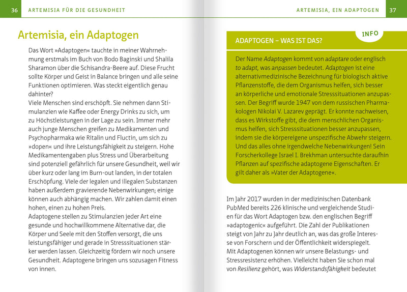 Artemisia Annua – Heilpflanze der Götter. Kompakt-Ratgeber