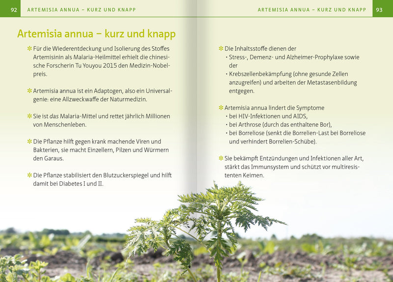 Artemisia Annua – Heilpflanze der Götter. Kompakt-Ratgeber