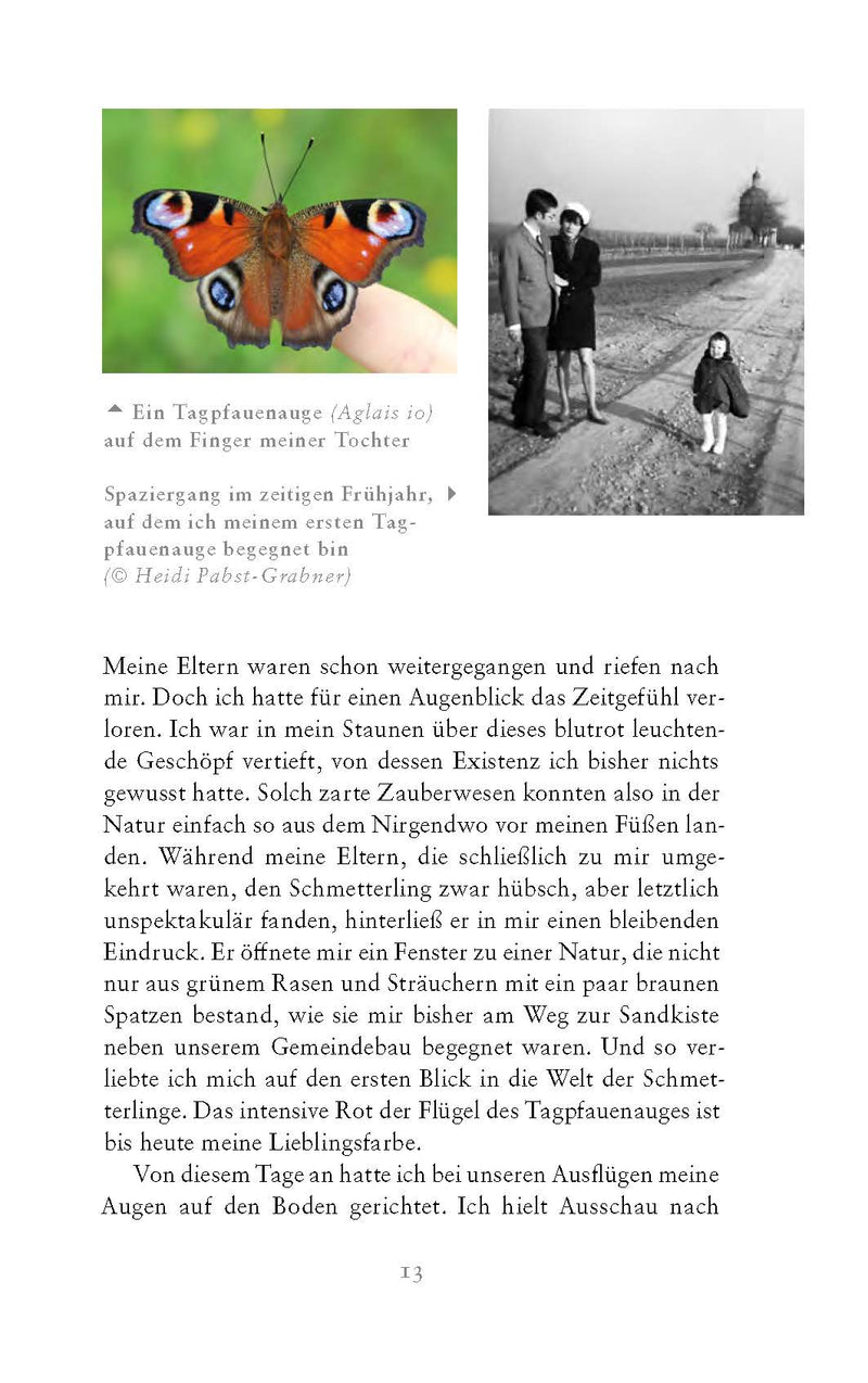 Die fabelhafte Welt der Schmetterlinge