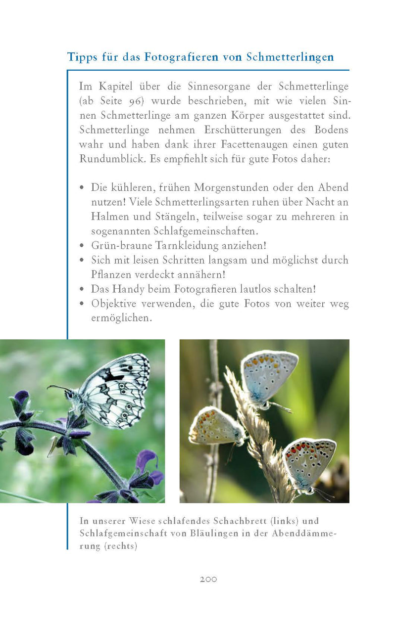 Die fabelhafte Welt der Schmetterlinge