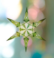 Magische Fenstersterne aus Seidenpapier