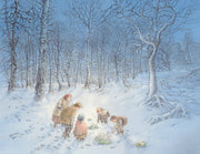 Die Legende von der Christrose