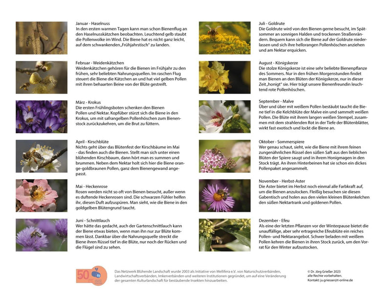 Kalender "Bienen und Blüten"
