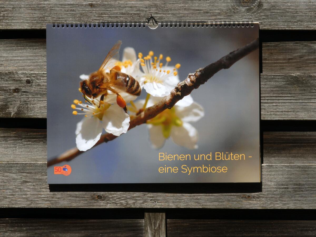 Bienen