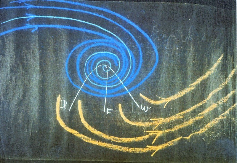 Der «Menschenwirbel» (Denken, Fühlen, Wollen)
