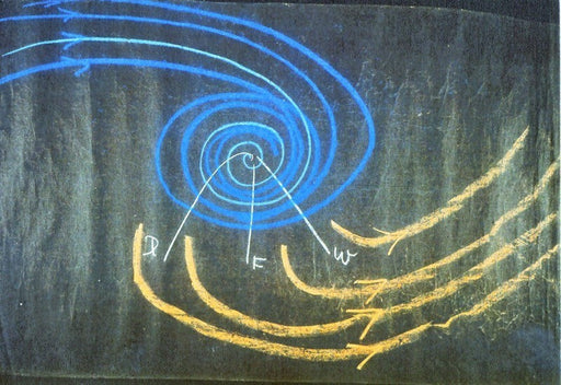 Der «Menschenwirbel» (Denken, Fühlen, Wollen)