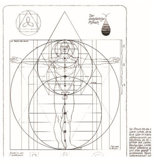 Der dreigliederige Mensch
