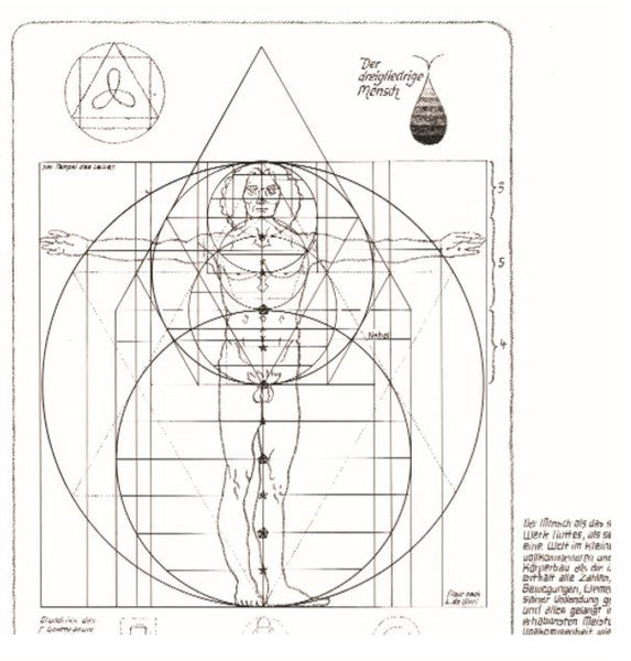 Der dreigliederige Mensch