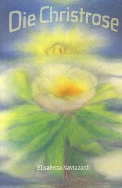 Die Christrose