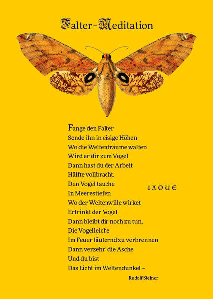 Die Falter-Meditation