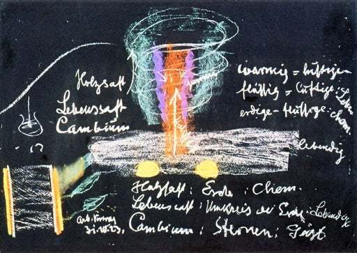 Die Geburt der Pflanze