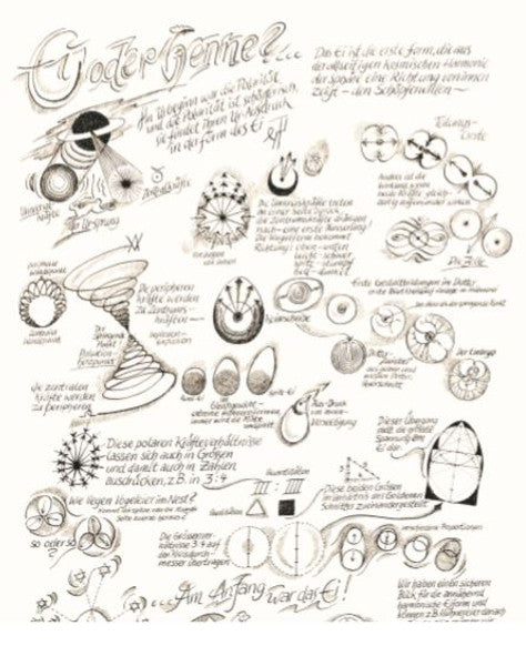 Ei oder Henne?... Im Urbeginn war die Polarität und die Polarität ist schöpferisch...