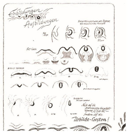 Einblidungen - Ausbildungen