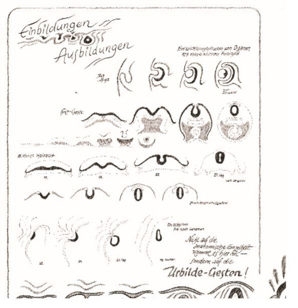 Einblidungen - Ausbildungen