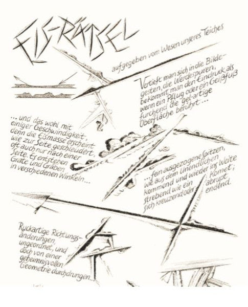 Eisrätsel - aufgegeben vom Wesen unseres Teiches